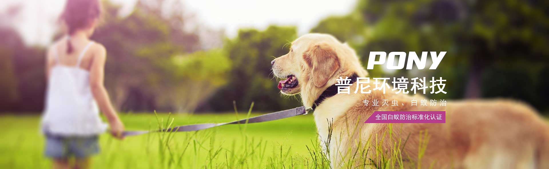 企業(yè)包裝，客戶(hù)要求，招投標(biāo)必備